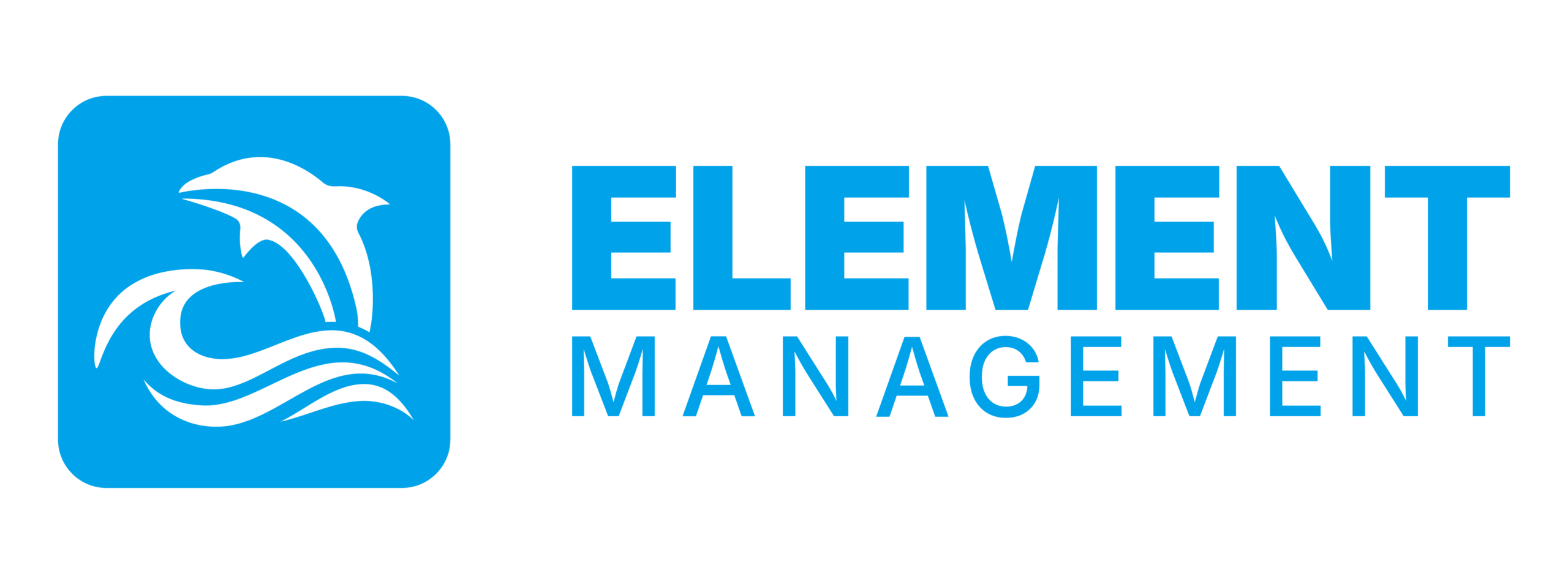 Element Management Logo